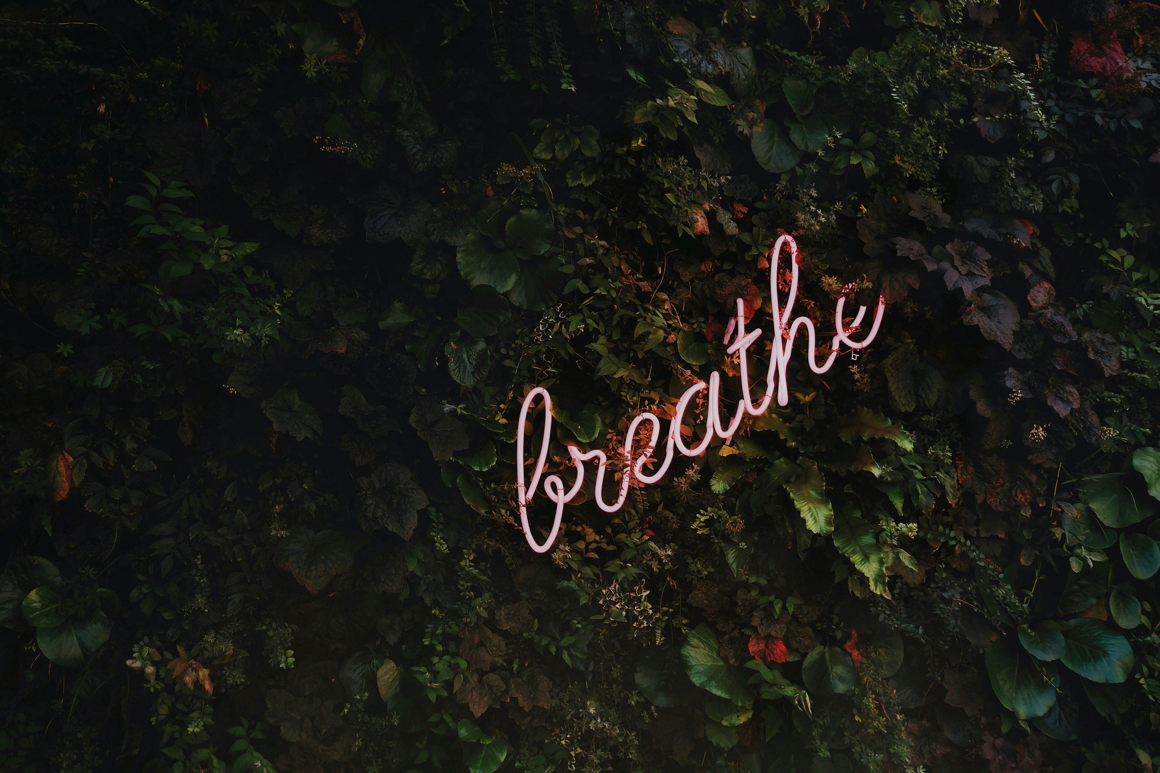 Breathwork for Enhanced Wellbeing